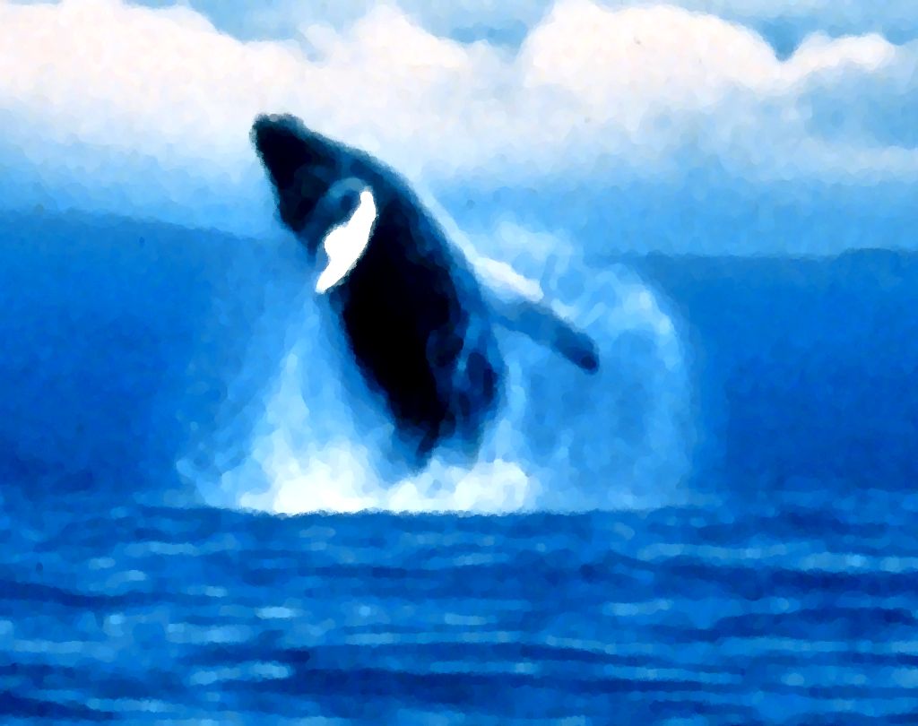 Click to get the codes for this image. Jumping Orca Painting, Animals  Ocean Life Background, wallpaper or texture for any blog, web page, phone or desktop