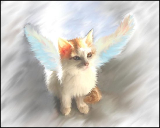 Click to get the codes for this image. Kitty Angel Painting, Animals  Cats, Angels and Fairies Background, wallpaper or texture for, Blogger, Wordpress, or any web page, blog, desktop or phone.