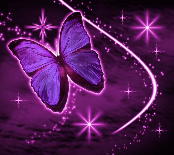 Click to get the codes for this image. Magenta Butterfly With Stars Background 1800x1600, Butterflies, Colors  Pink Background, wallpaper or texture for Blogger, Wordpress, or any phone, desktop or blog.