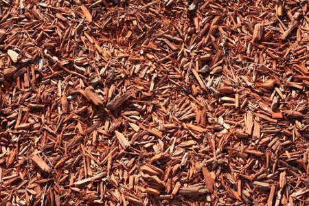 Click to get the codes for this image. Mulch Wood Chips 2000x1333, Wood, Colors  Brown Background, wallpaper or texture for Blogger, Wordpress, or any phone, desktop or blog.