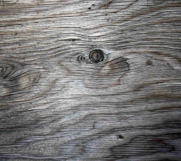 Click to get the codes for this image. Old Gray Plywood, Wood, Colors  Grey and Monochrome Background, wallpaper or texture for Blogger, Wordpress, or any phone, desktop or blog.