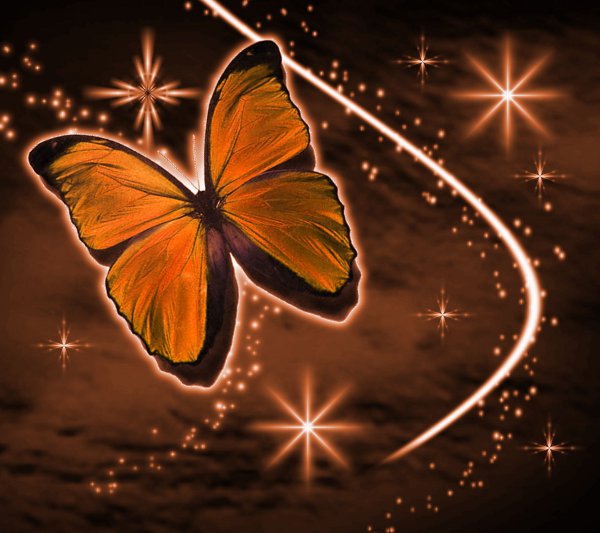 Click to get the codes for this image. Orange Butterfly With Stars Background 1800x1600, Butterflies, Colors  Orange Background, wallpaper or texture for Blogger, Wordpress, or any phone, desktop or blog.