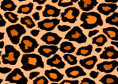 Cheetah print 1080P 2K 4K 5K HD wallpapers free download  Wallpaper  Flare