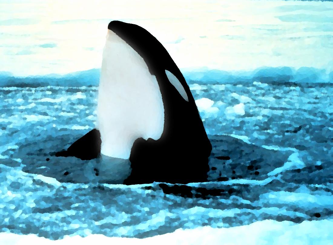 Click to get the codes for this image. Orca Popping Out Of Ice Painting, Animals  Ocean Life Background, wallpaper or texture for any blog, web page, phone or desktop