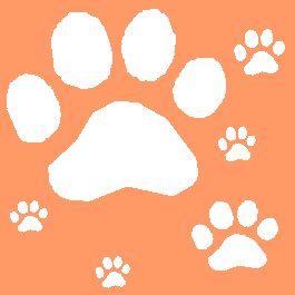 Click to get the codes for this image. Pawprints on Orange Background, Animals  Cats, Animals  Dogs, Colors  Orange Background, wallpaper or texture for Blogger, Wordpress, or any phone, desktop or blog.