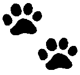 Click to get the codes for this image. Paw Prints, Animals  Cats, Animals  Dogs, Colors  Black and White Background, wallpaper or texture for Blogger, Wordpress, or any phone, desktop or blog.