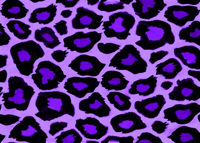 Click to get the codes for this image. Purple Blue Leopard Print, Animal Print, Colors  Purple Background, wallpaper or texture for, Blogger, Wordpress, or any web page, blog, desktop or phone.