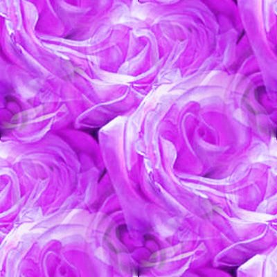 Click to get the codes for this image. Purple Roses, Flowers  Floral Designs, Colors  Purple Background, wallpaper or texture for Blogger, Wordpress, or any phone, desktop or blog.