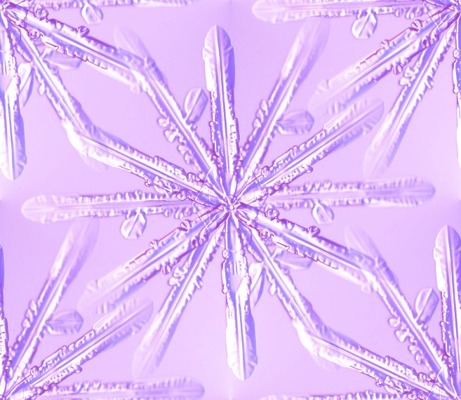 Click to get the codes for this image. Purple Snowflake, Snowflakes, Seasons  Winter, Patterns  Nature Inspired, Colors  Purple Background, wallpaper or texture for Blogger, Wordpress, or any phone, desktop or blog.