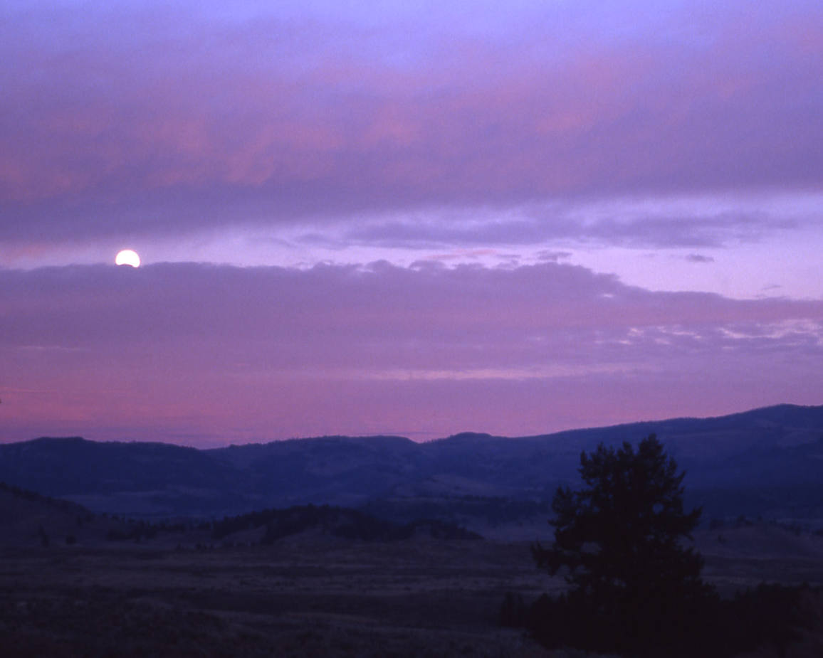 Click to get the codes for this image. Purple Sunset With Moon Rising, Nature Landscapes  Scenery, Sunsets and Sunrises Background, wallpaper or texture for any blog, web page, phone or desktop