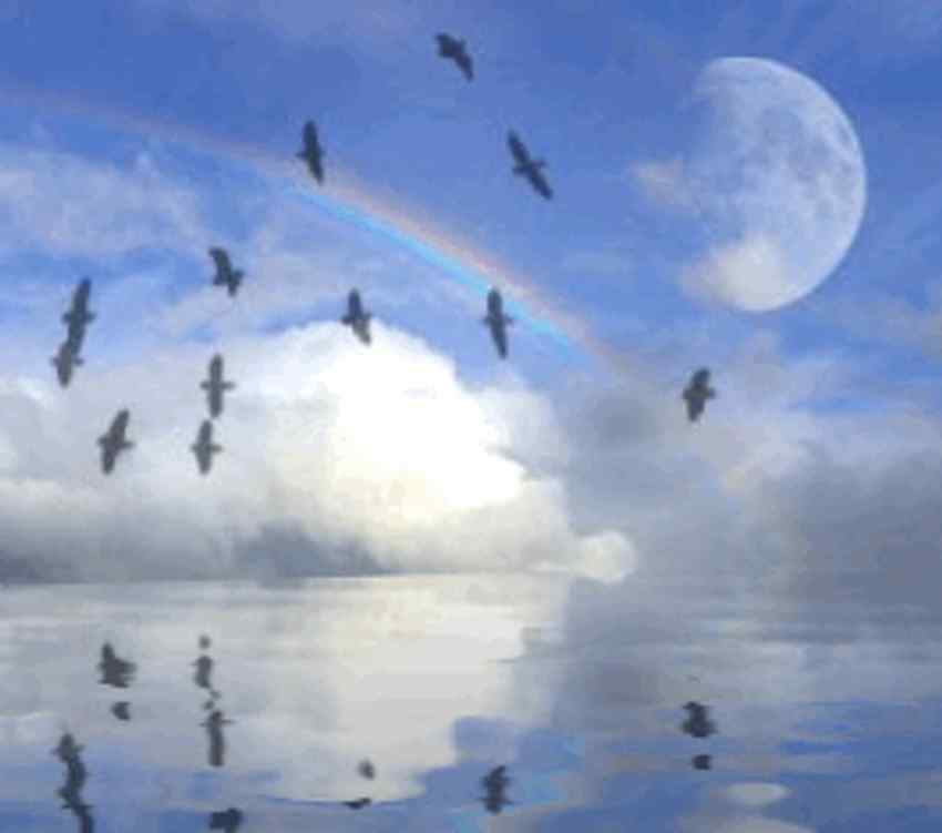 Click to get the codes for this image. Rainbow Moon And Bird Reflections, Ocean  Water, Nature Landscapes  Scenery, Colors  Blue Background, wallpaper or texture for Blogger, Wordpress, or any phone, desktop or blog.