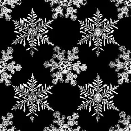 Click to get the codes for this image. Snowflake Photos Background Seamless, Snowflakes, Seasons  Winter, Colors  Black and White Background, wallpaper or texture for Blogger, Wordpress, or any phone, desktop or blog.