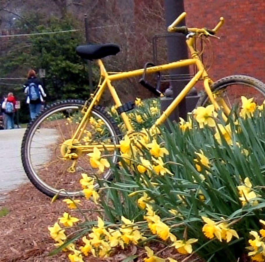 Click to get the codes for this image. Yellow Bike With Dafodils, Sports and Athletics Background, wallpaper or texture for any blog, web page, phone or desktop