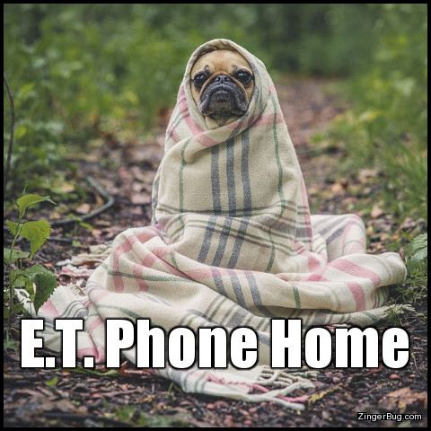 Click to get the codes for this image. This cute meme features a photograph of a small dog - a pug I think, wrapped up in a blanket so that it resembles the character E.T. from the famous movie. The caption reads: E.T. Phone Home