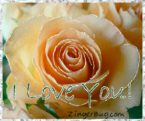 Click to get the codes for this image. This beautiful glitter graphic shows a close-up of a peach colored rose with silver glitter on the tips of each petal. The comment reads: I Love You!