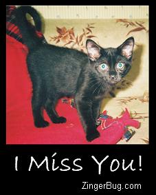 Click to get the codes for this image. I Miss You Black Kitten, Animals  Cats, I Miss You Free Image, Glitter Graphic, Greeting or Meme for Facebook, Twitter or any forum or blog.