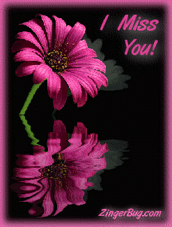 Click to get the codes for this image. This graphic features a pink flower reflected in an animated pool. The comment reads: I Miss You!