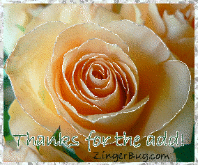 Click to get the codes for this image. This beautiful glitter graphic shows a close-up of a peach colored rose with silver glitter on the tips of each petal. The comment reads: Thanks for the add!