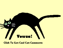 Click to get the codes for this image. This cute animated graphic shows a picture of black cat arching its back and raising its tail. The comment reads: Yowza!
