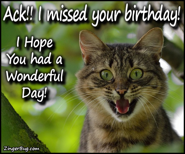 Click to get the codes for this image. Ack Cat Missed Your Birthday, Happy Birthday, Happy Birthday, Belated Birthday Free Image, Glitter Graphic, Greeting or Meme for Facebook, Twitter or any forum or blog.