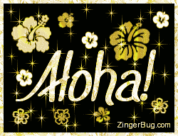 Click to get the codes for this image. Aloha Gold Stars Glitter Graphic, Hi Hello Aloha Wassup etc, Flowers Free Image, Glitter Graphic, Greeting or Meme for Facebook, Twitter or any blog.