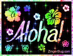 Click to get the codes for this image. Aloha Rainbow Stars Glitter Graphic, Hi Hello Aloha Wassup etc, Flowers Free Image, Glitter Graphic, Greeting or Meme for Facebook, Twitter or any blog.