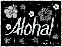 Click to get the codes for this image. Aloha Silver Stars Glitter Graphic, Hi Hello Aloha Wassup etc, Flowers Free Image, Glitter Graphic, Greeting or Meme for Facebook, Twitter or any blog.