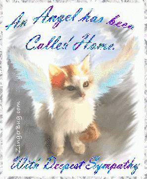 Click to get the codes for this image. This glitter graphic shows a beautiful painting of a kitten with angel wings. The comment reads: An Angel has been Called Home. With Deepest Sympathy.