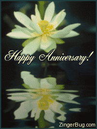 Click to get the codes for this image. This comment shows a beautiful yellow flower with reflections in an animated pool. The comment reads: Happy Anniversary!