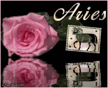 Click to get the codes for this image. This beautiful astrology graphic features a pink rose with animated 3D silver letters reading: Aries. There is also an animated 3D silver Aries zodiac symbol. The entire comment is reflected in an animated pool.