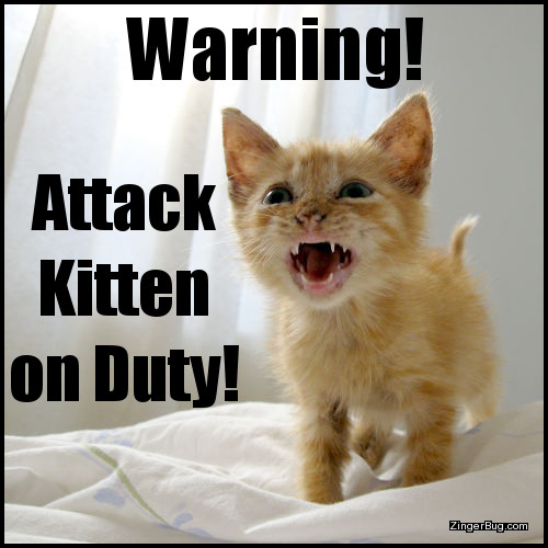 Click to get the codes for this image. This funny meme features a photo of an orange kitten who appears to be barking or growling. The caption reads: Warning! Attack kitten on duty!