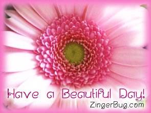 Click to get the codes for this image. Have a Beautiful Day Pink Flower, Have a Great Day, Flowers Free Image, Glitter Graphic, Greeting or Meme for Facebook, Twitter or any blog.