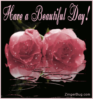 Click to get the codes for this image. This beautiful graphic shows two pink roses covered with raindrops while more rain falls in an animated pool. The comment reads: Have a Beautiful Day!
