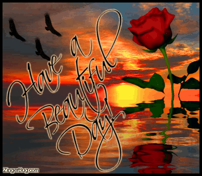 Click to get the codes for this image. This graphic features a beautiful image of a sunset with birds and a rose reflected in an animated pool. The comment reads: Have a Beautiful Day!