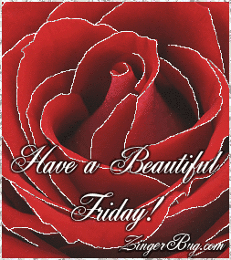 Click to get the codes for this image. This beautiful glitter graphic shows a close-up of a red rose with silver glitter on the tips of each petal. The comment reads: Have a Beautiful Friday!