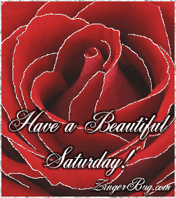 Click to get the codes for this image. This beautiful glitter graphic shows a close-up of a red rose with silver glitter on the tips of each petal. The comment reads: Have a Beautiful Saturday!