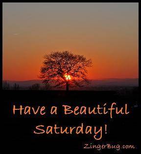 Click to get the codes for this image. Have a Beautiful Saturday Sunset Tree, Happy Saturday Free Image, Glitter Graphic, Greeting or Meme for Facebook, Twitter or any forum or blog.