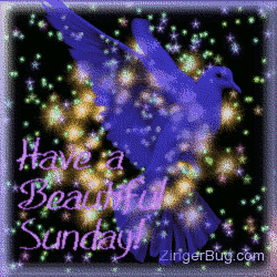 Click to get the codes for this image. This pretty glitter graphic shows a transparent blue bird in front of a sky of twinkling stars. The comment reads: Have a Beautiful Sunday!