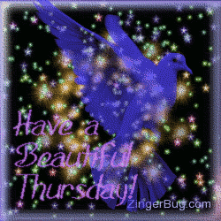 Click to get the codes for this image. This pretty glitter graphic shows a transparent blue bird in front of a sky of twinkling stars. The comment reads: Have a Beautiful Thursday!