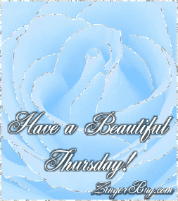 Click to get the codes for this image. This beautiful glitter graphic shows a close-up of a blue rose with silver glitter on the tips of each petal. The comment reads: Have a Beautiful Thursday!