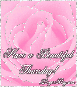 Click to get the codes for this image. This beautiful glitter graphic shows a close-up of a pink rose with silver glitter on the tips of each petal. The comment reads: Have a Beautiful Thursday!