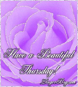 Click to get the codes for this image. This beautiful glitter graphic shows a close-up of a purple rose with silver glitter on the tips of each petal. The comment reads: Have a Beautiful Thursday!