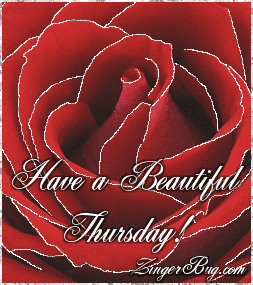 Click to get the codes for this image. This beautiful glitter graphic shows a close-up of a red rose with silver glitter on the tips of each petal. The comment reads: Have a Beautiful Thursday!