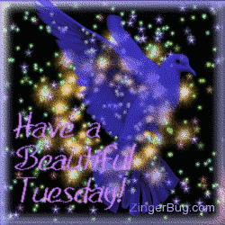 Click to get the codes for this image. This pretty glitter graphic shows a transparent blue bird in front of a sky of twinkling stars. The comment reads: Have a Beautiful Tuesday!