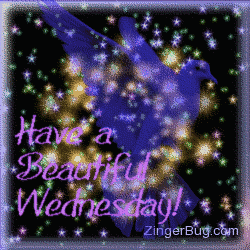 Click to get the codes for this image. This pretty glitter graphic shows a transparent blue bird in front of a sky of twinkling stars. The comment reads: Have a Beautiful Wednesday!