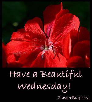 Click to get the codes for this image. Have a Beautiful Wednesday Red Flower, Happy Wednesday, Flowers Free Image, Glitter Graphic, Greeting or Meme for Facebook, Twitter or any forum or blog.