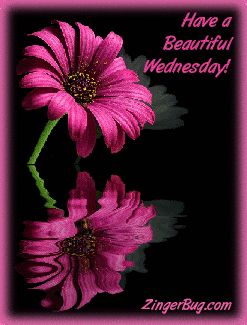 Click to get the codes for this image. This comment shows a beautiful pink flower with reflections in an animated pool. The comment reads: Have a Beautiful Wednesday!
