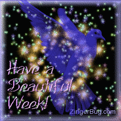 Click to get the codes for this image. This pretty glitter graphic shows a transparent blue bird in front of a sky of twinkling stars. The comment reads: Have a Beautiful Week!