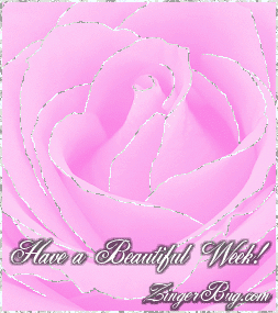 Click to get the codes for this image. This beautiful glitter graphic shows a close-up of a violet rose with silver glitter on the tips of each petal. The comment reads: Have a Beautiful Week!