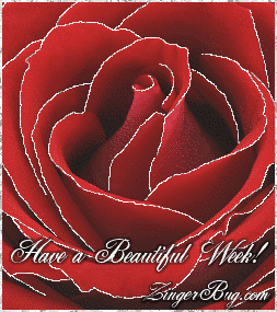 Click to get the codes for this image. This beautiful glitter graphic shows a close-up of a red rose with silver glitter on the tips of each petal. The comment reads: Have a Beautiful Week!